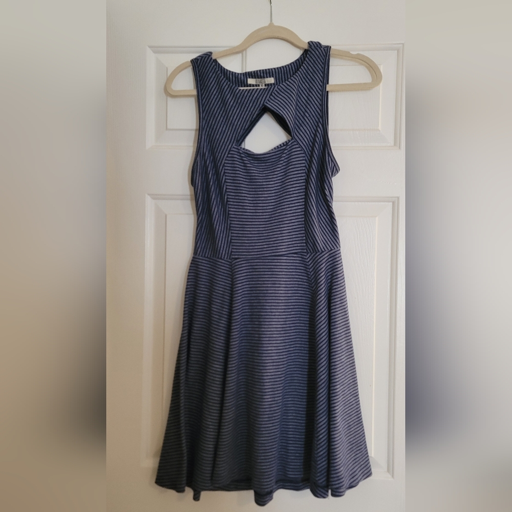 BB Dakota blue striped dress